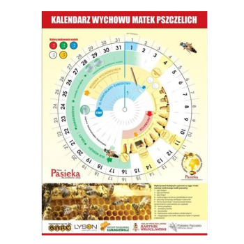 Kalendarz do wychowu matek pszczelich