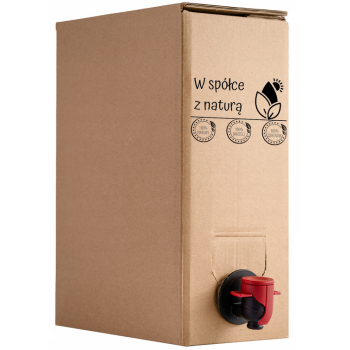 Karton na worki BAG-IN-BOX 5L