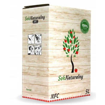 Karton na worki BAG-IN-BOX 5L